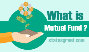 What is Mutual Fund?