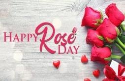 Happy Rose Day 2022 | Rose day whatsapp status video 2022