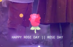 Happy Rose Day Love Romantic Whatsapp Status Video