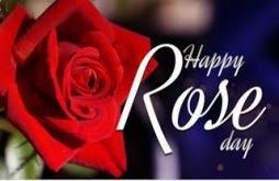 Happy Rose Day Video status 2022