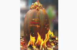 Mahadev Gujarati Status Video