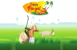 Wishing Everyone Pongal Festival