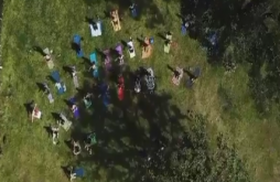 yoga day 2023 new status video dawonload